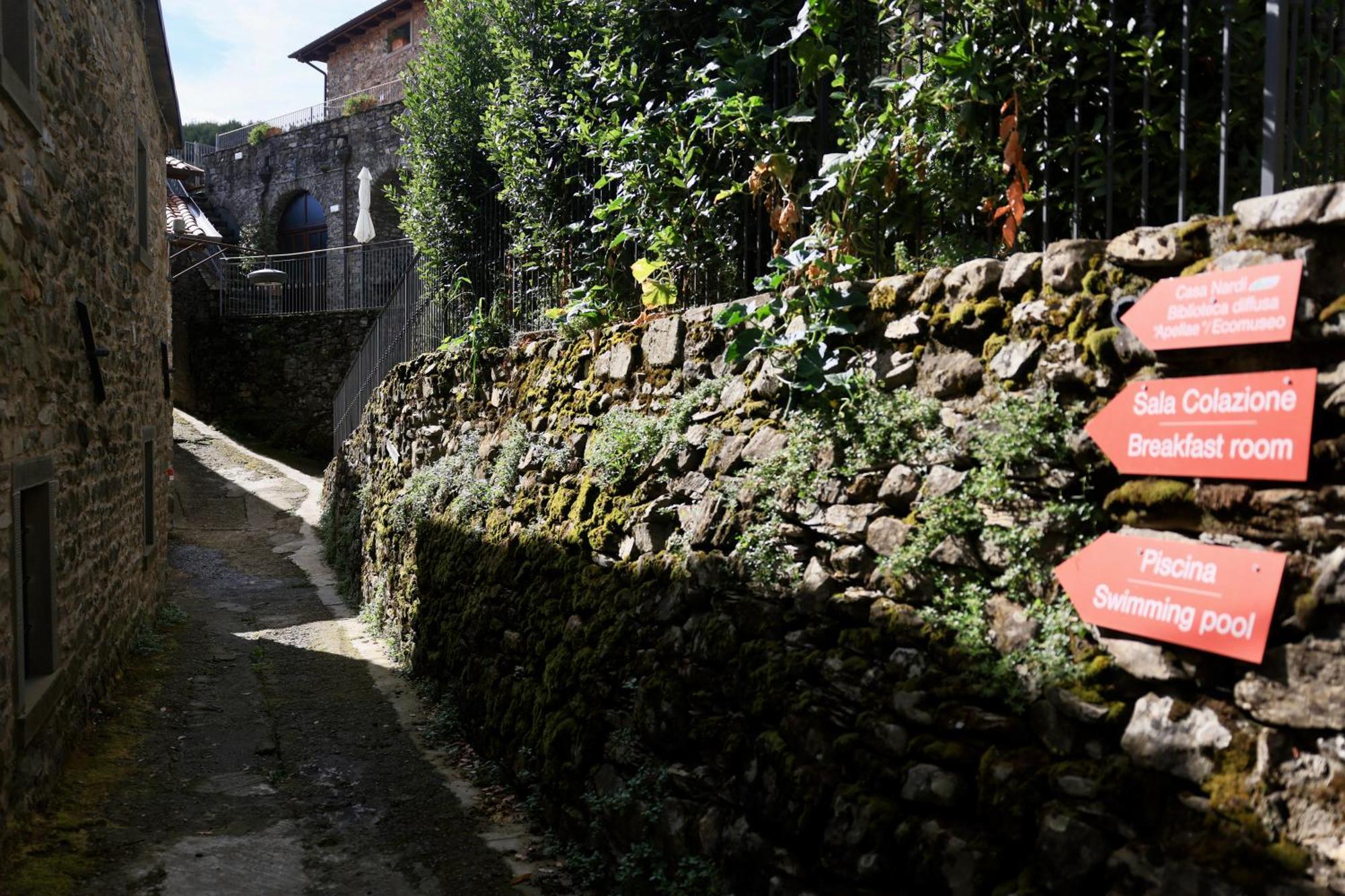 Agriturismo Montagna Verde Apella 리치아나 나르디 외부 사진